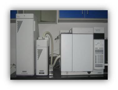 ����ɫ����